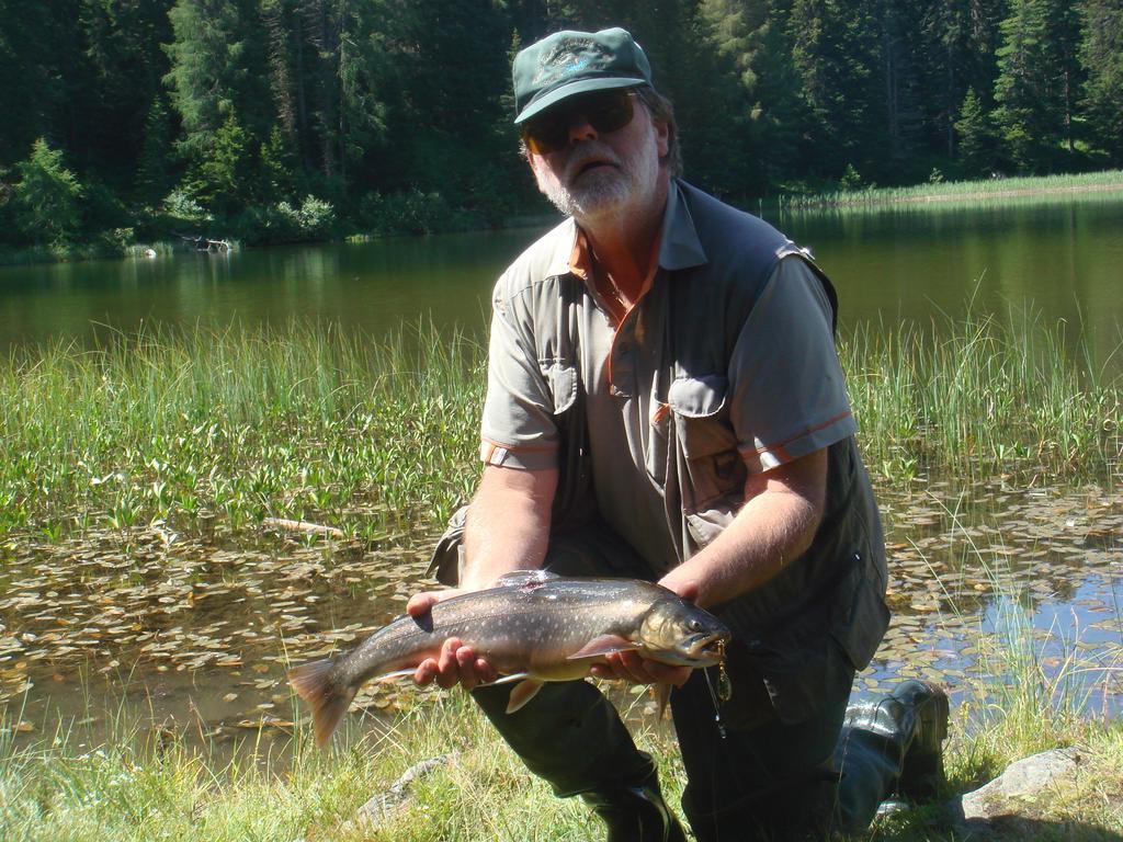 Landhaeusl Villa Weissensee Eksteriør bilde